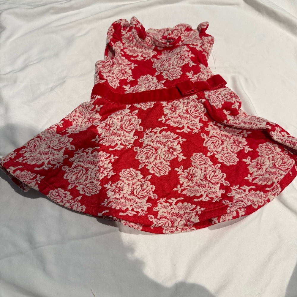 Janie and Jack Red and Cream Floral Dress